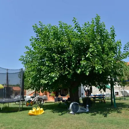 Authentic Istrian For Unforgettable