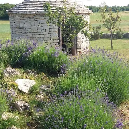 فندق مبيت وإفطار Authentic Istrian For Unforgettable 3*