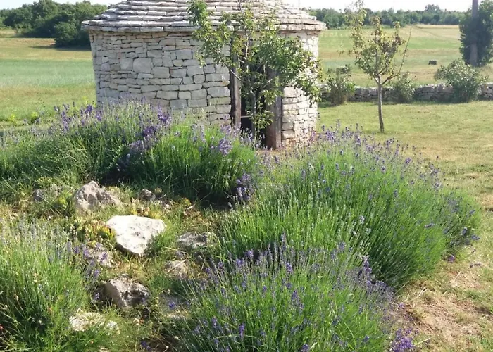 Bed & Breakfast Authentic Istrian For Unforgettable 3*